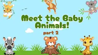 Meet the Baby Animals! Part 2 | Animals and Their Babies | Kids Learning Video