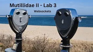 Mutillidae II - Lab 3
