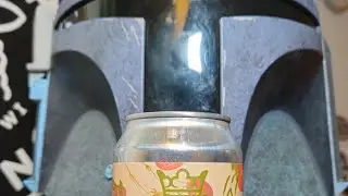 Brew to Review - Lion's Tail Brewing - Berry Sour Ale with Berries Review