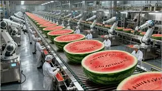 The Shocking Truth About Watermelon Juice Production Nobody Tells You | Inside The Factory