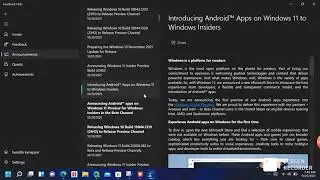 using the windows feedback hub