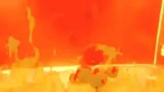 Fiery Marimo (Moss Ball) Dance