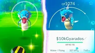 WILD GYARADOS CAUGHT! - Pokemon Go - FINDING WILD RARE GYARADOS!