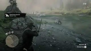 Red Dead Redemption 2 - Perfect Toad kill, ESTPROO's Guides