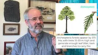 V33 Land Plant Origins