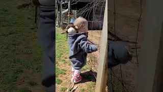 petting the pony then licking the fence 😋 😜