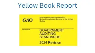 What is a Yellow Book Report and What's In It?