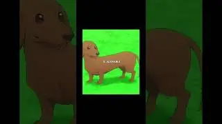 Anya finds the Perfect Dog #spyxfamily #anya #anime #funny #cute #dogs #dog #cool #fyp #fypシ゚viral