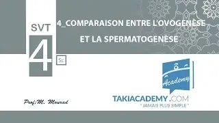 BAC Sciences_SVT_04 Comparaison entre l'ovogenèse  et la spermatogenèse
