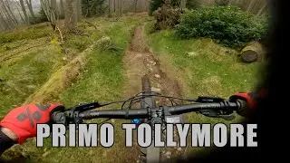 Primo conditions at TOLLYMORE MTB natural trails