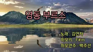 영동부르스 하모니카 연주