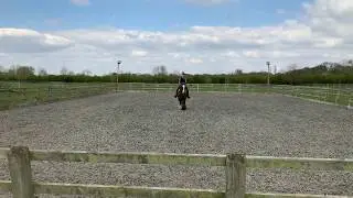 Dressage Anywhere - Introductory A - April 2019