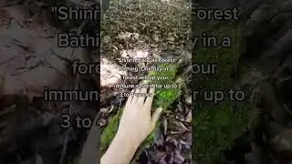 Shinrin-Yoku | Forest Bathing #nature #returntonature #forestbathing #natureseeker #backtonature