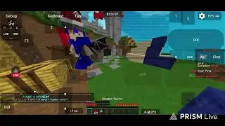 Sumo Platform Fist Fight For Fun