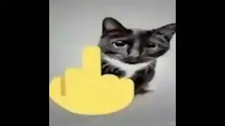 I love P - 78 % МЯСО (Audio, 2024)