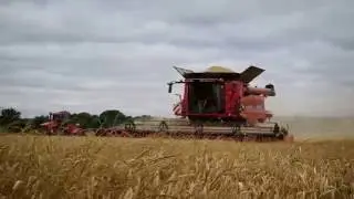100% CASE IH I 8230 TRACK & 9M I QUADTRACK 450 I AMAZONE CERTOS