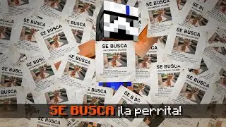 DESAPARECE LA PERRA DEL PUEBLO | DiosesMC #16
