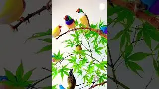 Birds are a diverse group of warm-blooded vertebrates characterized by feathers