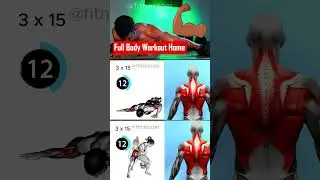 Full Body Strength Training: Unlock Your True Potential! #fitnesszer #shorts #shots #fullbodyworkout