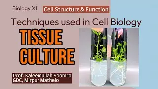 BiologyXI | Techniques used in cell biology | Plant Tissue culture | @Biologywithsirkaleem