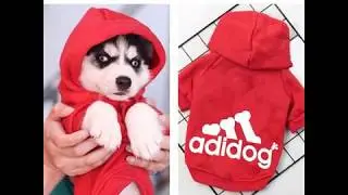 ADIDOG TRENDY DOG HOODIE SWEATER