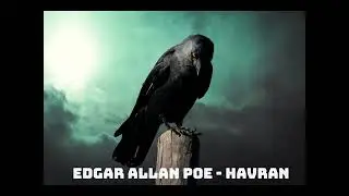 Edgar Allan Poe - Havran (mluvené slovo CZ)