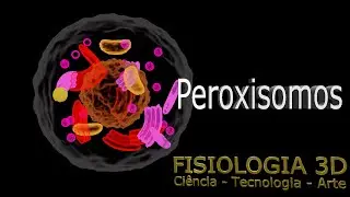 aula12 - Peroxissomo - organela que contém a enzima catalase (degradação do peróxido de hidrogênio)
