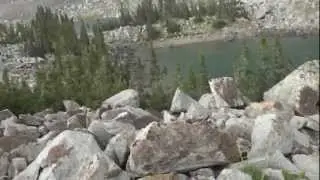Red pine part 6
