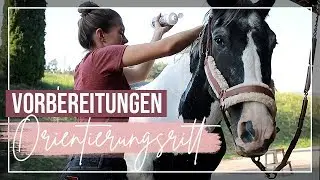Vorbereitungen O-RITT 🧽 Waschen | Equipment putzen | Verladetraining