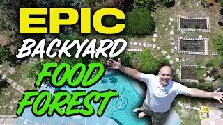 Epic Backyard Food Forest | Mikes In the Garden Tour 2025