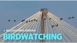 Bird Watching At The Riverlands Migratory Bird Sanctuary