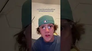 Palmetto bugs 🪳