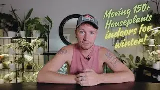 Winter Plant Prep: Moving 150+ Houseplants Indoors & My Winter Care Routine! 🌱
