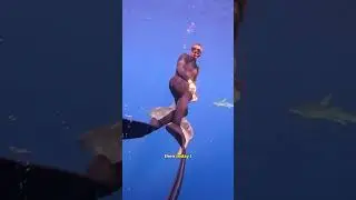 Birthday Shark Rescue 🎂🦈 Saving This Entangled Tiger Shark!