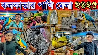 Kolkata Bird Show 2025🦜Santosh Mitra Square Bird Festival 2k25🐦কলকাতা পাখি মেলা 2025🐦‍🔥Pakhi Mela 🦚