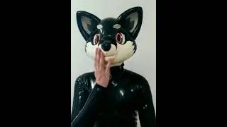 Inflatable Kariwanz fox Hood to PoolToy TF