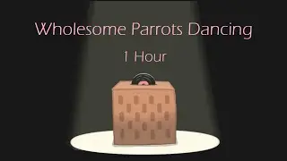 Wholesome Parrots Dancing (1-Hour Special!)