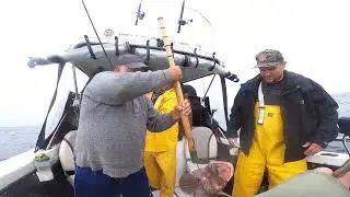 🎣 Action-Packed BC Fishing Highlights: Lingcod, Rockfish, and More! 🌊