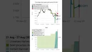 Case Study White Maize 2022 23 Late Start #agriculture #marketing #risk #management