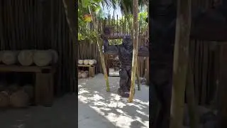 Tulum jungle gym!! Must see🔥🔥🔥 Tulum Mexico 🇲🇽