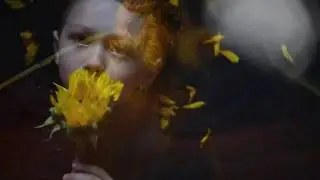 Chad Crawford - After War (feat. Matt MacDonald)