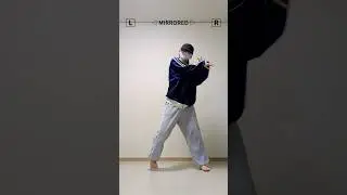 [MIRRORED] BABYMONSTER - DRIP | Dance Tutorial Shorts