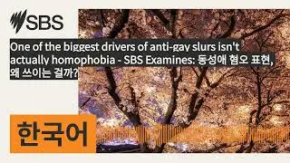 One of the biggest drivers of anti-gay slurs isn't actually homophobia - SBS Examines: 동성애 혐오...