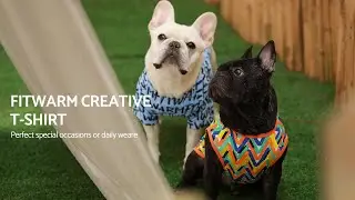 Make a Bold Statement with Fitwarm's Font Shirt for Pets