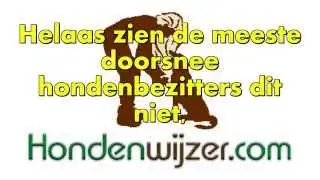 Is uw hondentrainer wel vakbekwaam?