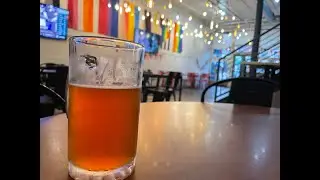 Fat Fat Lady Brewing, Philadelphia | Dog-Friendly Brewery with Amazing Beers & Tacos