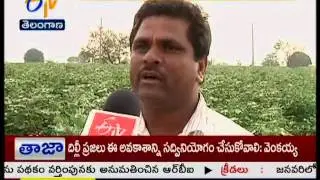 MEDAK FARMERS LOST BY FAKE SEEDS -  TS - జైకిసాన్ - 30th October 2015