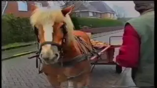 schillenboer