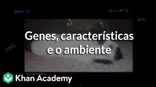 Genes, caracter&iacute;sticas e o ambiente