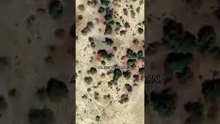 Blood Stains in Sudan, on google map #sudan #bloodstains #viralshorts #muslim